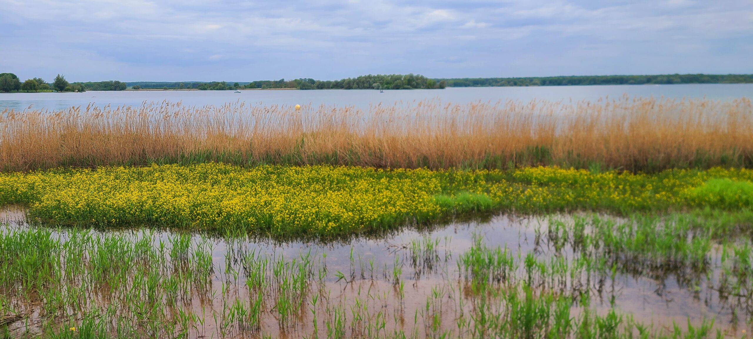 Lire la suite à propos de l’article RADONVILLIERS, LAC