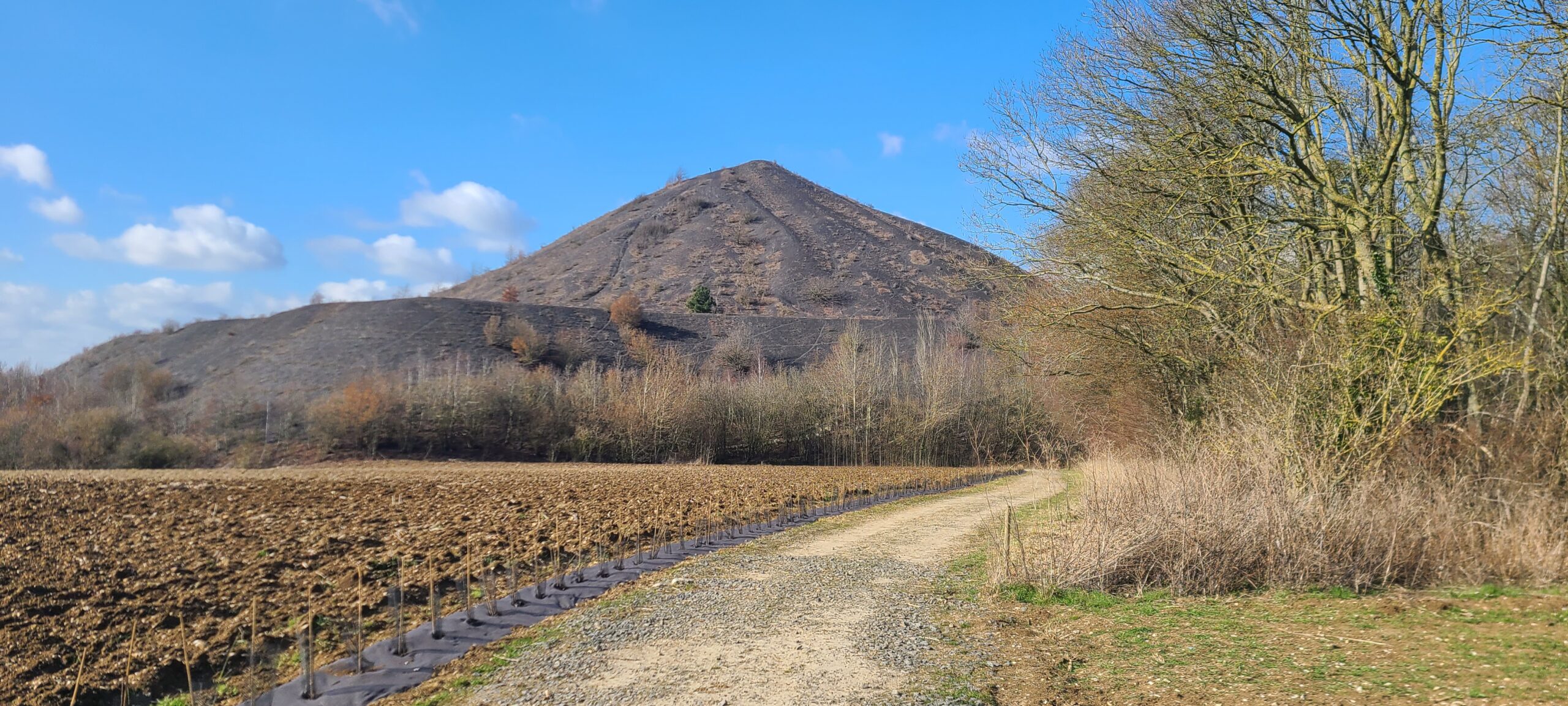 Lire la suite à propos de l’article HAILLICOURT, TERRILS