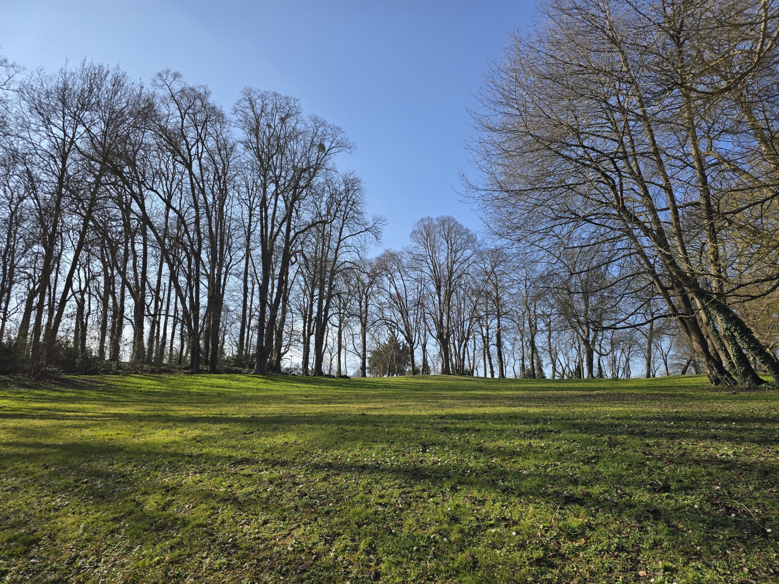 Lire la suite à propos de l’article JUVISY-SUR-ORGE, PARC-DE-L-HOTEL-DE-VILLE