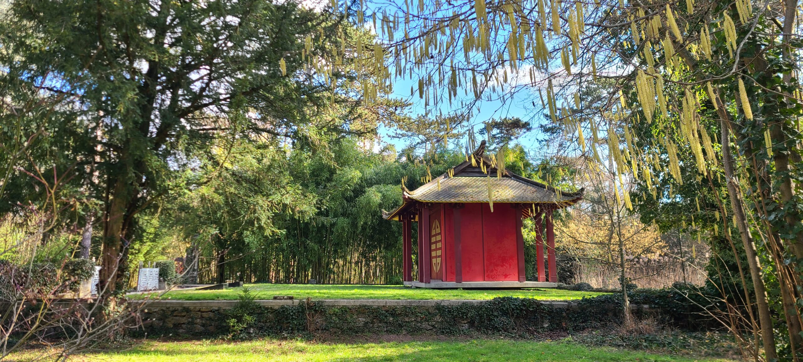 Lire la suite à propos de l’article PARIS, JARDIN-D-AGRONOMIE-TROPICALE